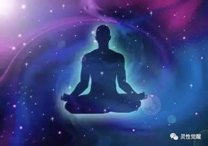 你的能量級別決定你的一切