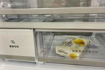 容聲452冰箱冷凍殺菌