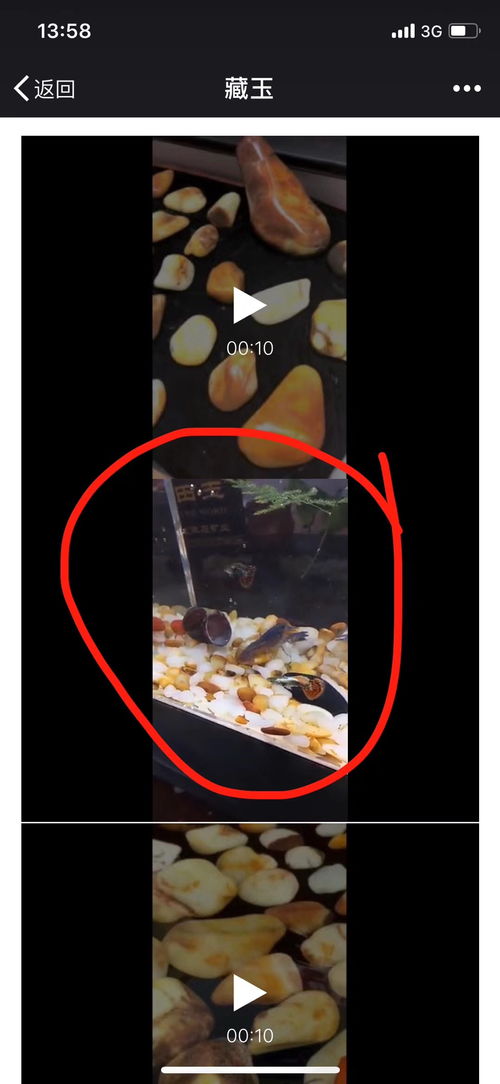 盜圖風(fēng)波 田玉行業(yè)的原創(chuàng)呼喚與正負(fù)能量較量